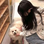 空闲防御战游戏下载